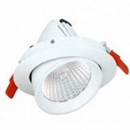 LED DOWNLIGHT ROTATABLE