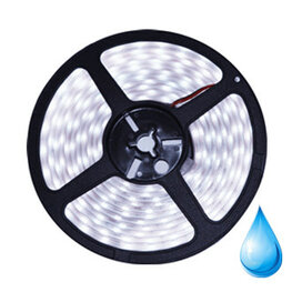 LED STRIP Silicon 12v SMD 2835 60 LEDs / m 6000K / daylight 5 meter roll * PROFESSIONAL