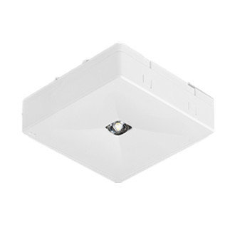 surface-mounted Premium LED emergency lighting 2W Ontec square anti-panic