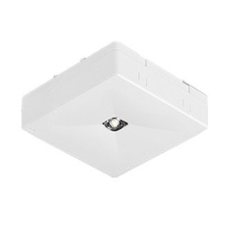 &eacute;clairage de secours apparent Premium LED 2W Ontec carr&eacute; anti-panique