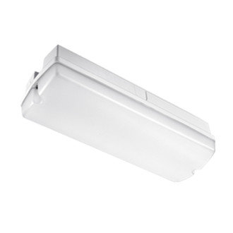 LED GALERIE / PORCH BELEUCHTUNG IP65 4000k Neutralwei&szlig; 2,5W