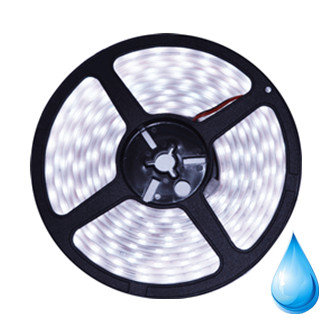 Silicone LED strip 24v  SMD 5050 60 LEDs/m 6000K Cool white 5 meter roll