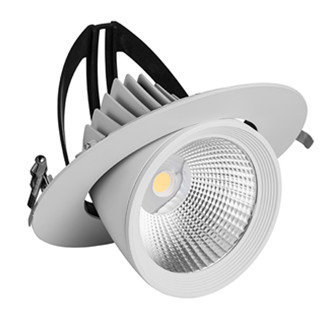 LED DOWNLIGHT Shinelite KANTELBAAR &Oslash;195 40W-4000k/Neutraal wit