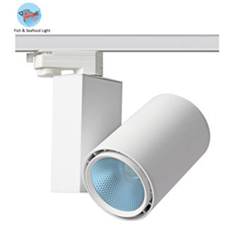 Fresh food LED light Seafood railspot blue 35w 6500k - white - PHILIPS driver