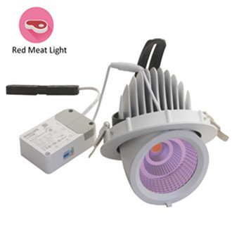 Fresh food LED light Meat Gimbal downlight pink 35w 3200k - white