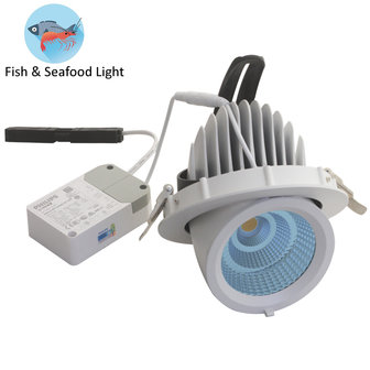 &Eacute;clairage LED pour aliments frais Seafood Gimbal downlight bleu 35w 6500k - blanc