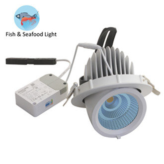 &Eacute;clairage LED pour aliments frais Seafood Gimbal downlight bleu 35w 6500k - blanc