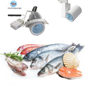 &Eacute;clairage LED pour aliments frais Seafood Gimbal downlight bleu 35w 6500k - blanc