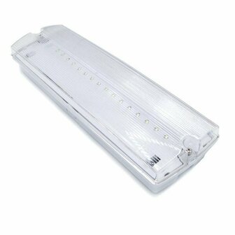 AT-autotest bulkhead LED emergency lighting 4W IP65