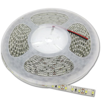 LED-STREIFEN Silizium 12 V SMD 2835 60 LEDs / m 6000 K / Tageslicht 5-Meter-Rolle * PROFESSIONELL