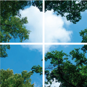 Bos-Wolken Decke kompletter Fotodruck mit 4 LED Panels 36w flimmerfrei