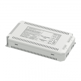 Sortie unit&eacute; de secours 15-65W 30Vdc pour downlight &agrave; panneau LED