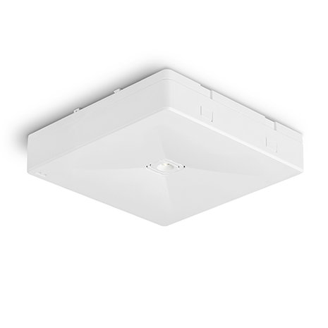 surface-mounted Premium LED emergency lighting 2W Ontec square anti-panic