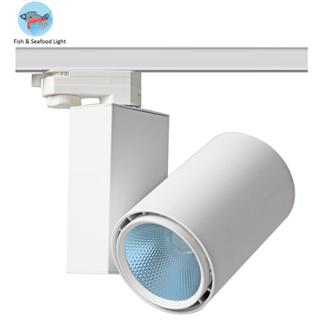 Éclairage LED pour aliments frais Seafood railspot bleu 35w 6500k - blanc - driver PHILIPS