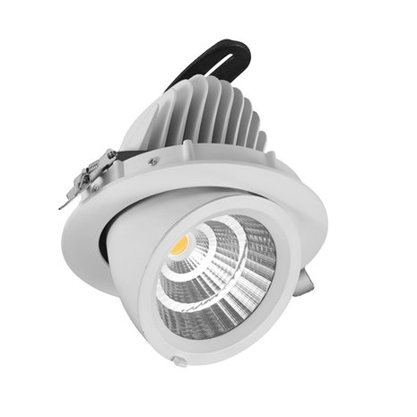 Frische Lebensmittel LED Beleuchtung Bäckerei Gimbal Downlight gold 35w 2500k - weiß