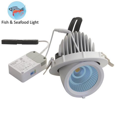 Éclairage LED pour aliments frais Seafood Gimbal downlight bleu 35w 6500k - blanc