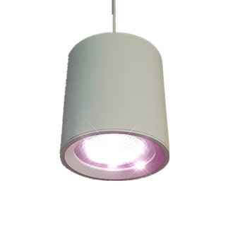 Éclairage LED pour aliments frais Viande suspendu downlight rose 35w 3200k - blanc