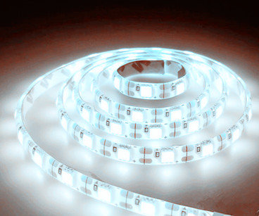 LED STRIP 12v  SMD 2835 60 LEDs/m 6000K/daglicht 5 meter rol * IP20 *PROFESSIONAL