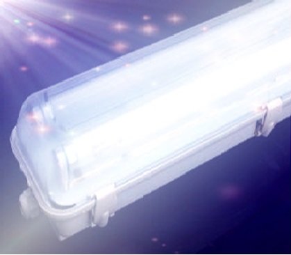 IP65 fixture T.B.V. 2X LED TL-TUBE 120CM