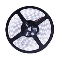 LED STRIP 12v  SMD 2835 60 LEDs/m 6000K/daglicht 5 meter rol * IP20 *PROFESSIONAL LED STRIP 12v  SMD 2835 60 LEDs/m 6000K/daglicht 5 meter rol * IP20 *PROFESSIONAL
