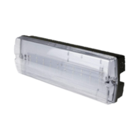 Zwarte AT-autotest bulkhead led noodverlichting 4W IP65